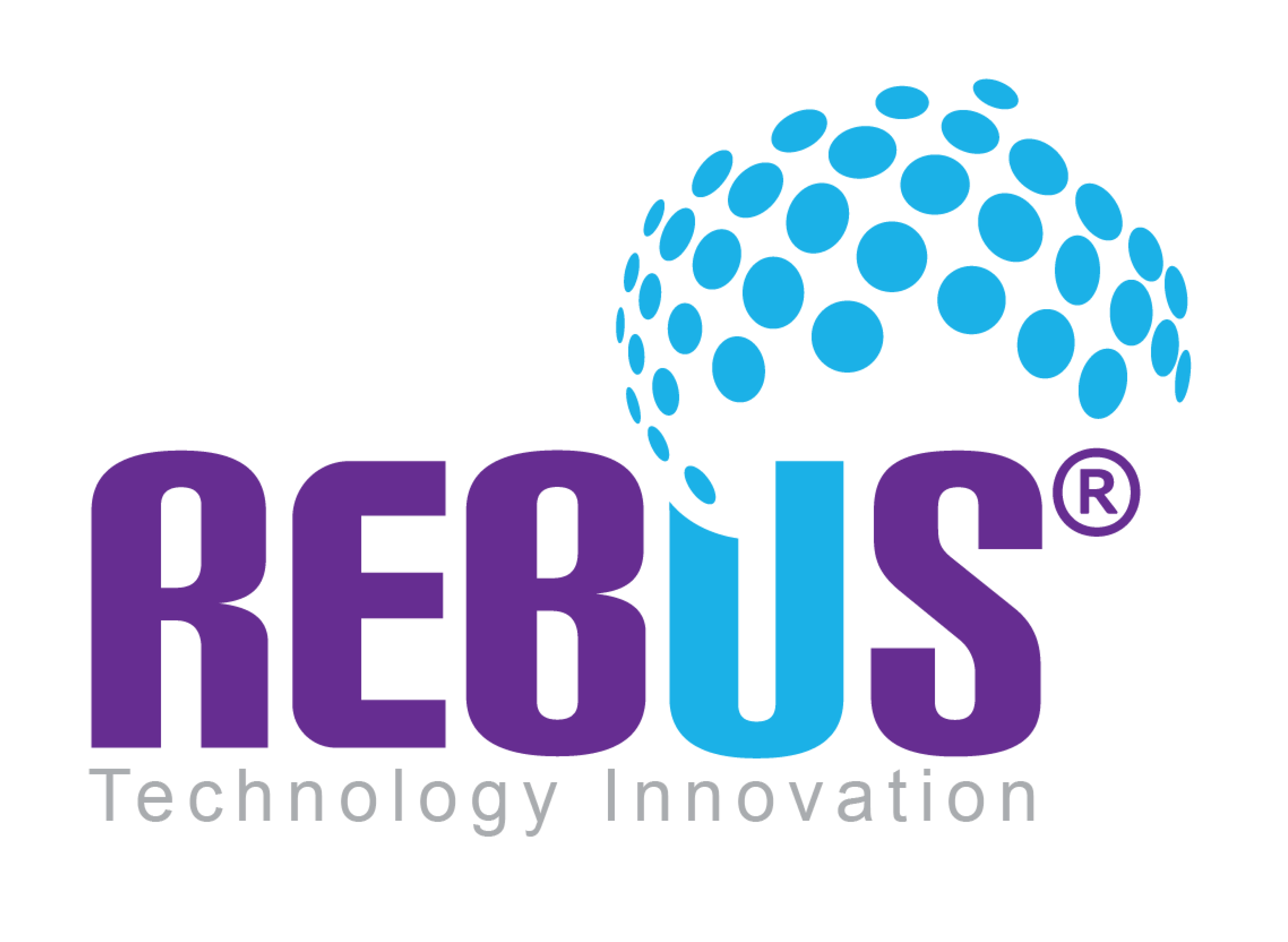 Rebus Technology Solutions